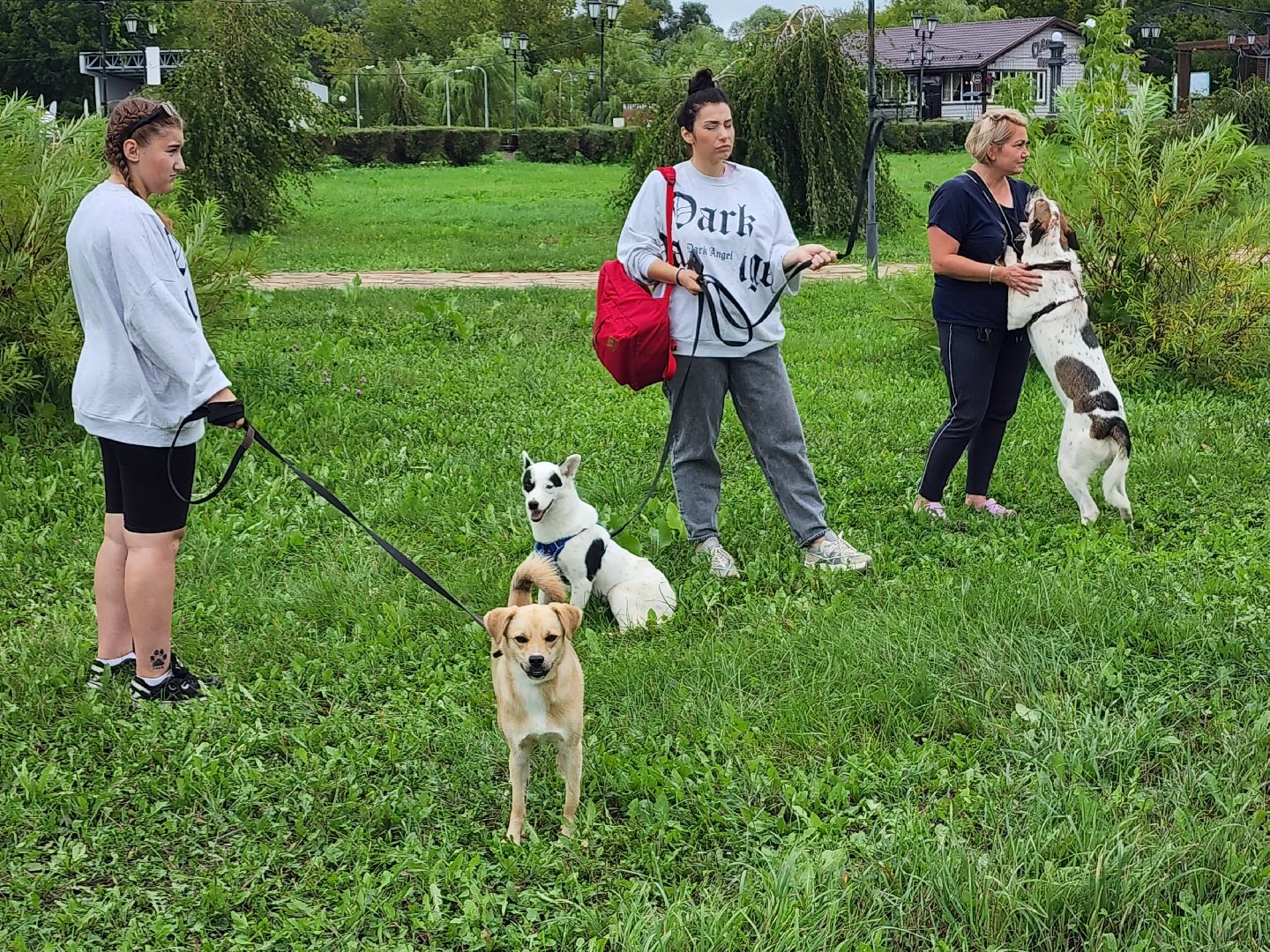 доброе