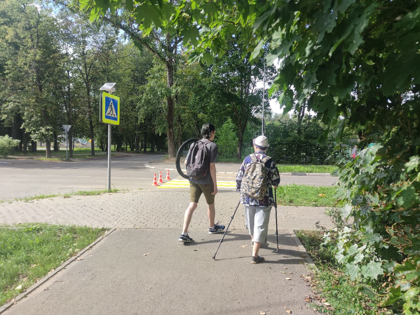 дуб