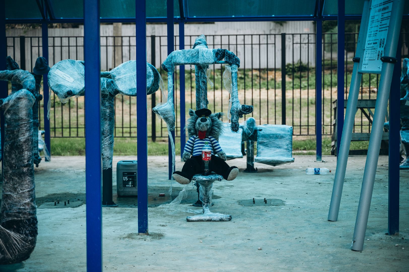 губернатора