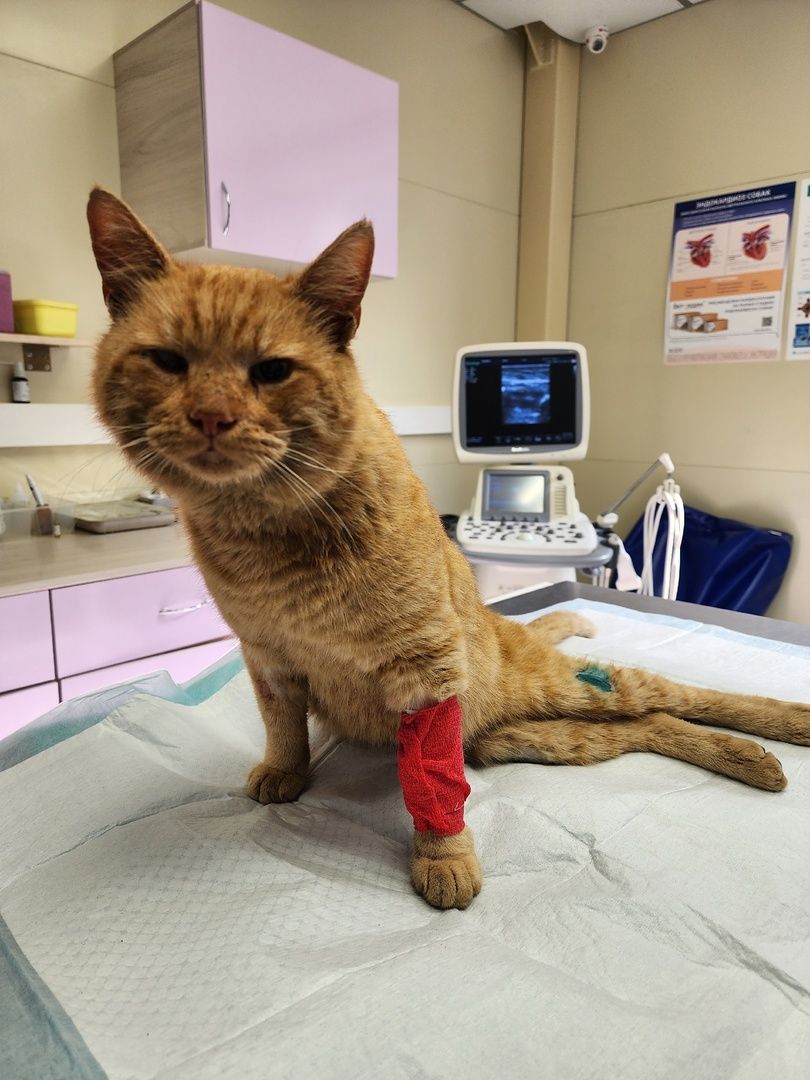 солнечногорск