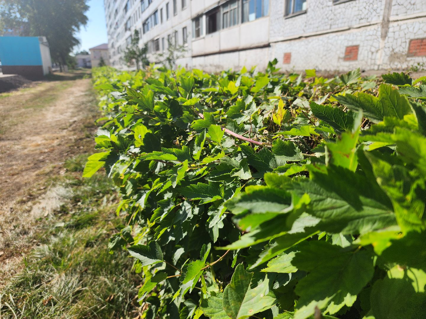 Благоустро