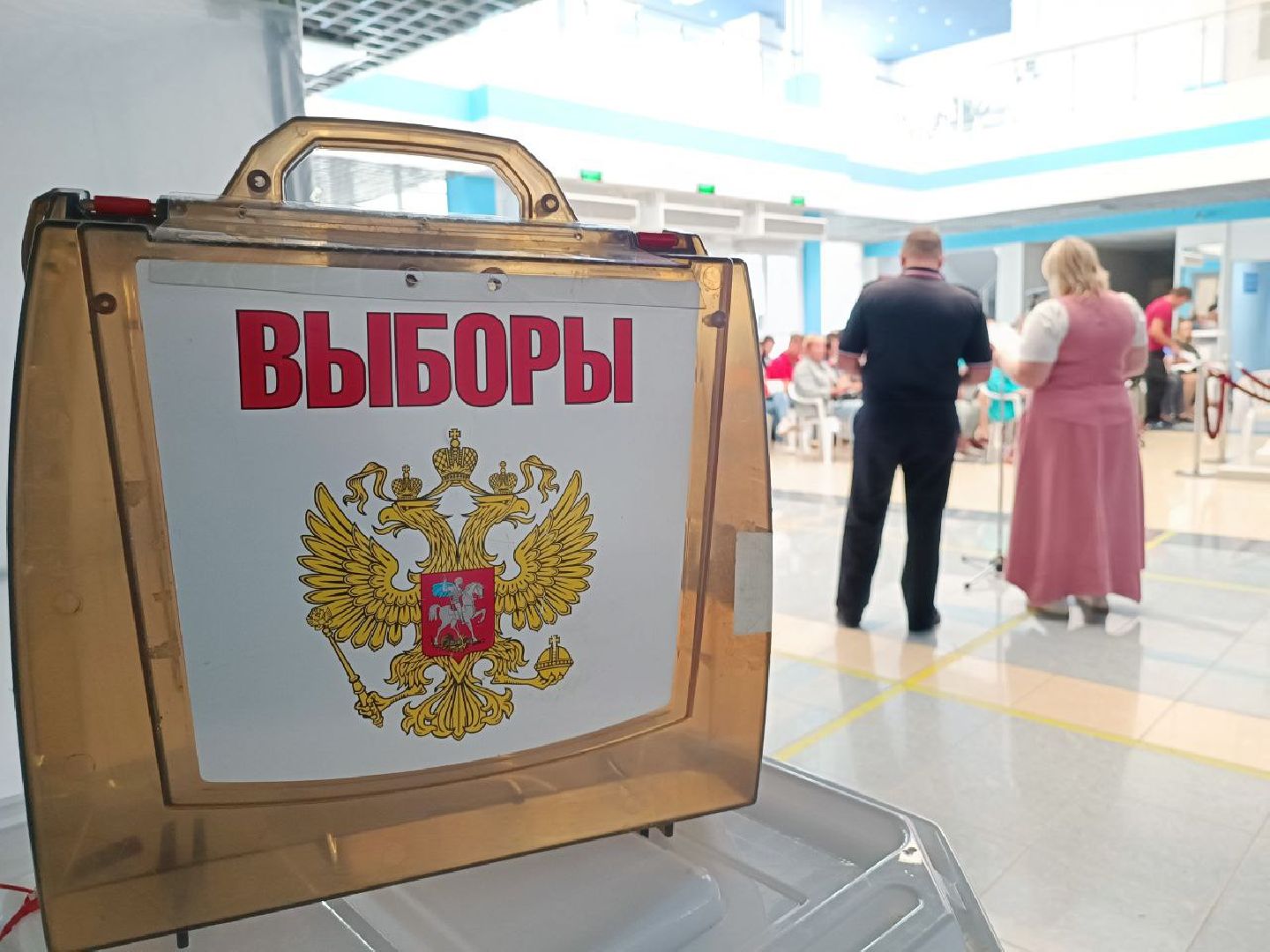 ель