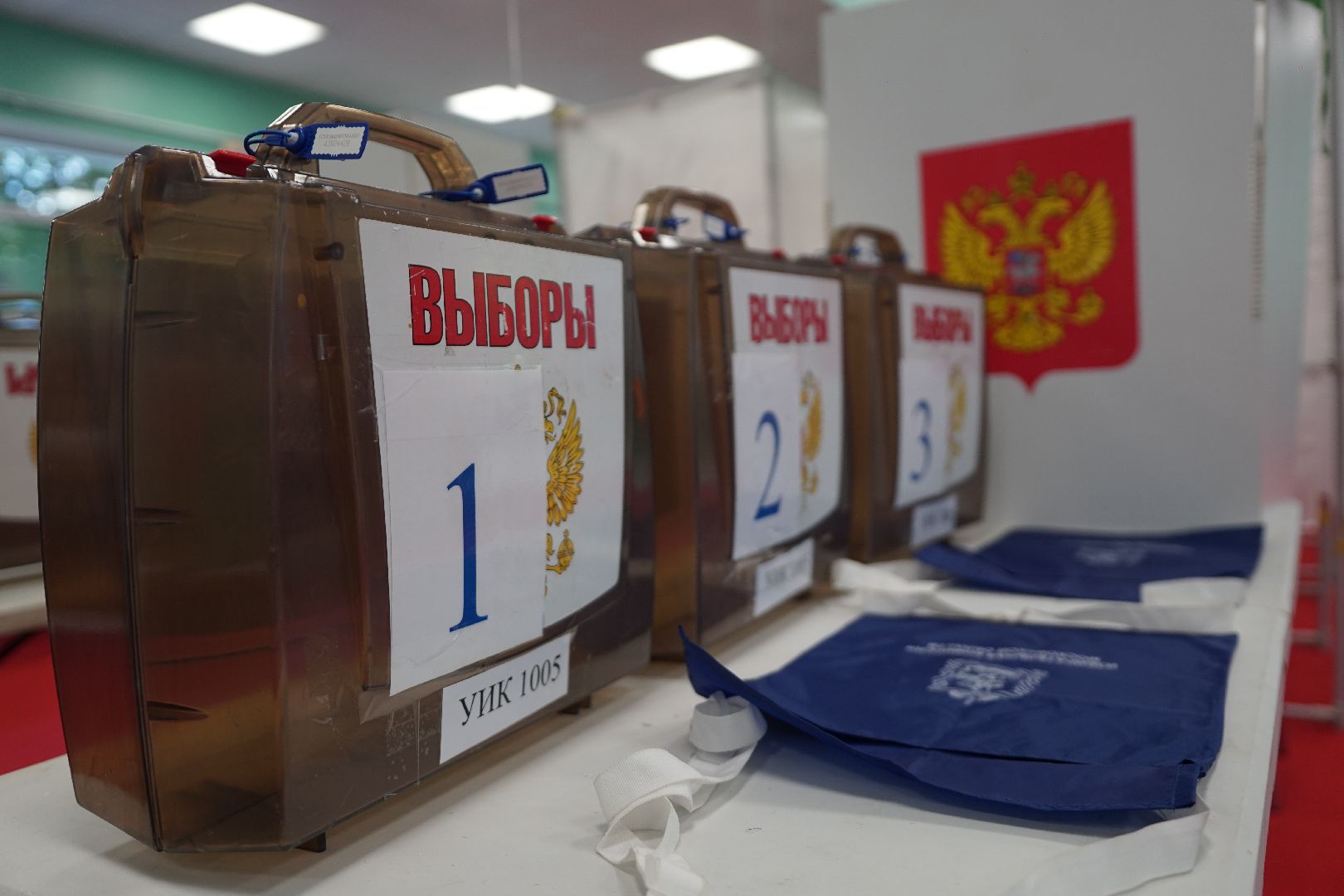 Выборы