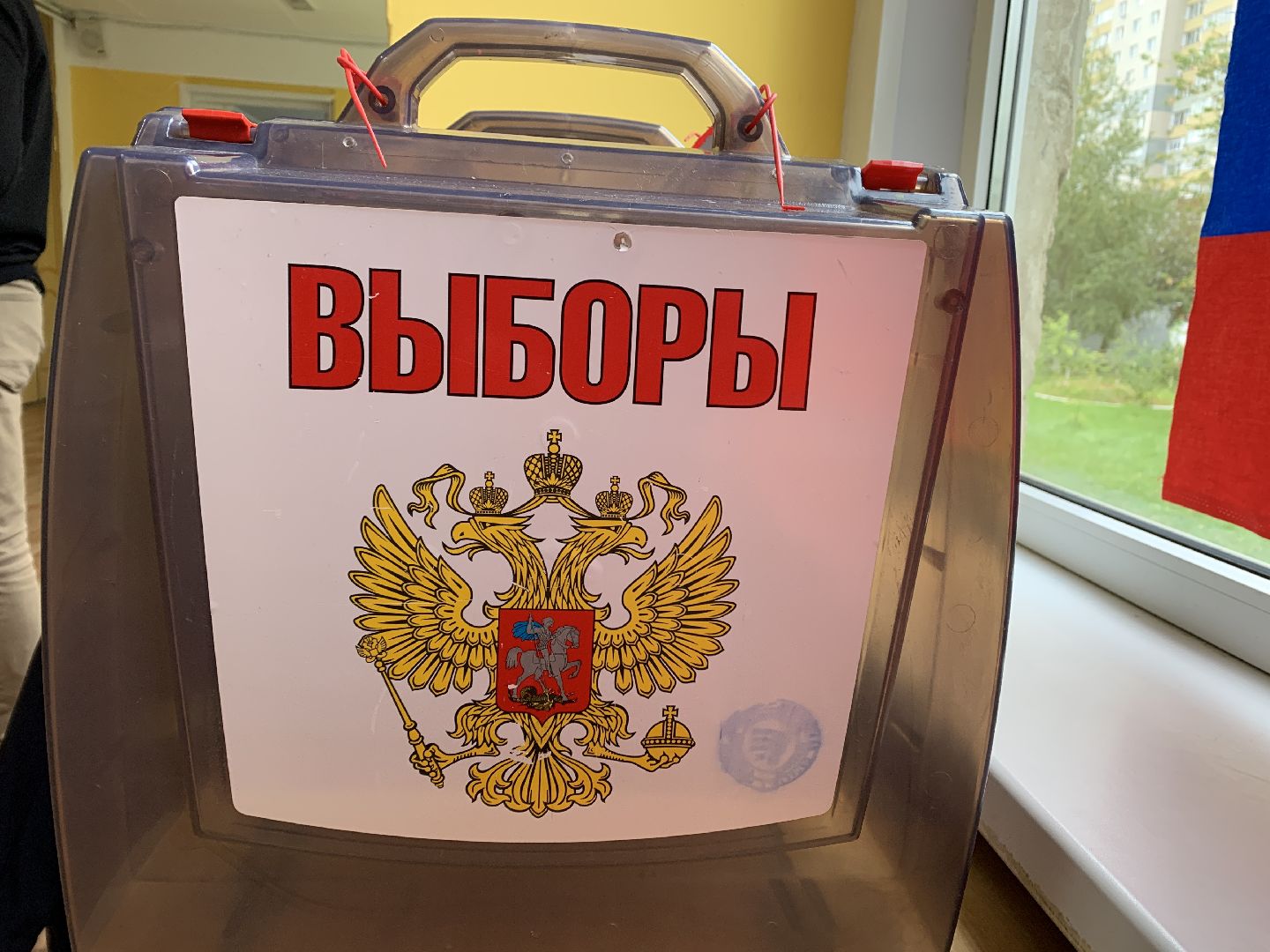 Выборы