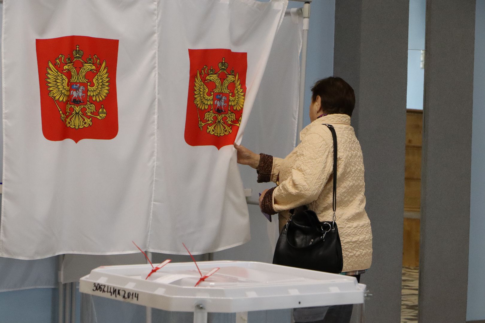 Выборы
