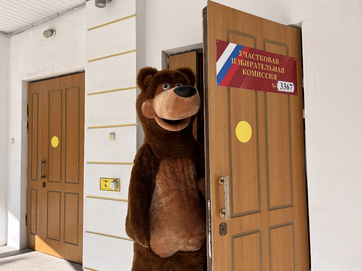 Выборы