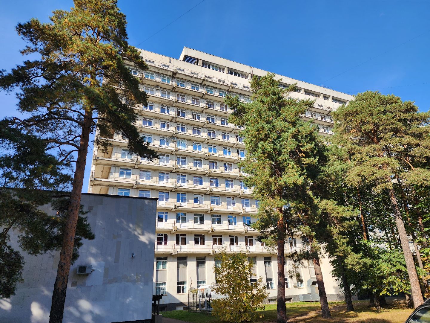 ель