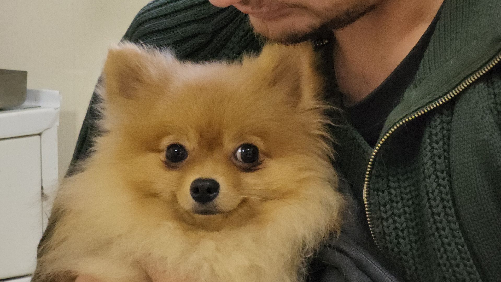 ОВО