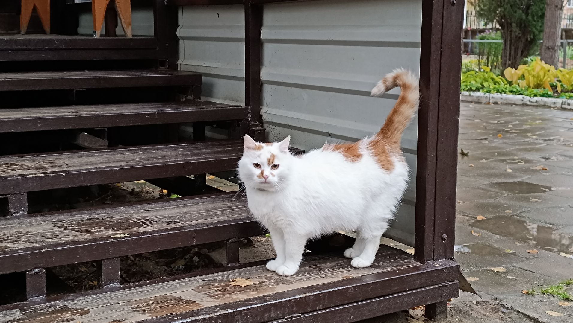 Строительство