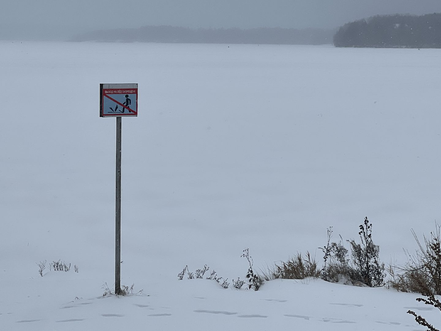 ледостав в подмосковье