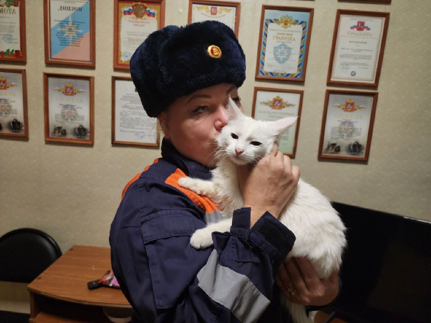 Город