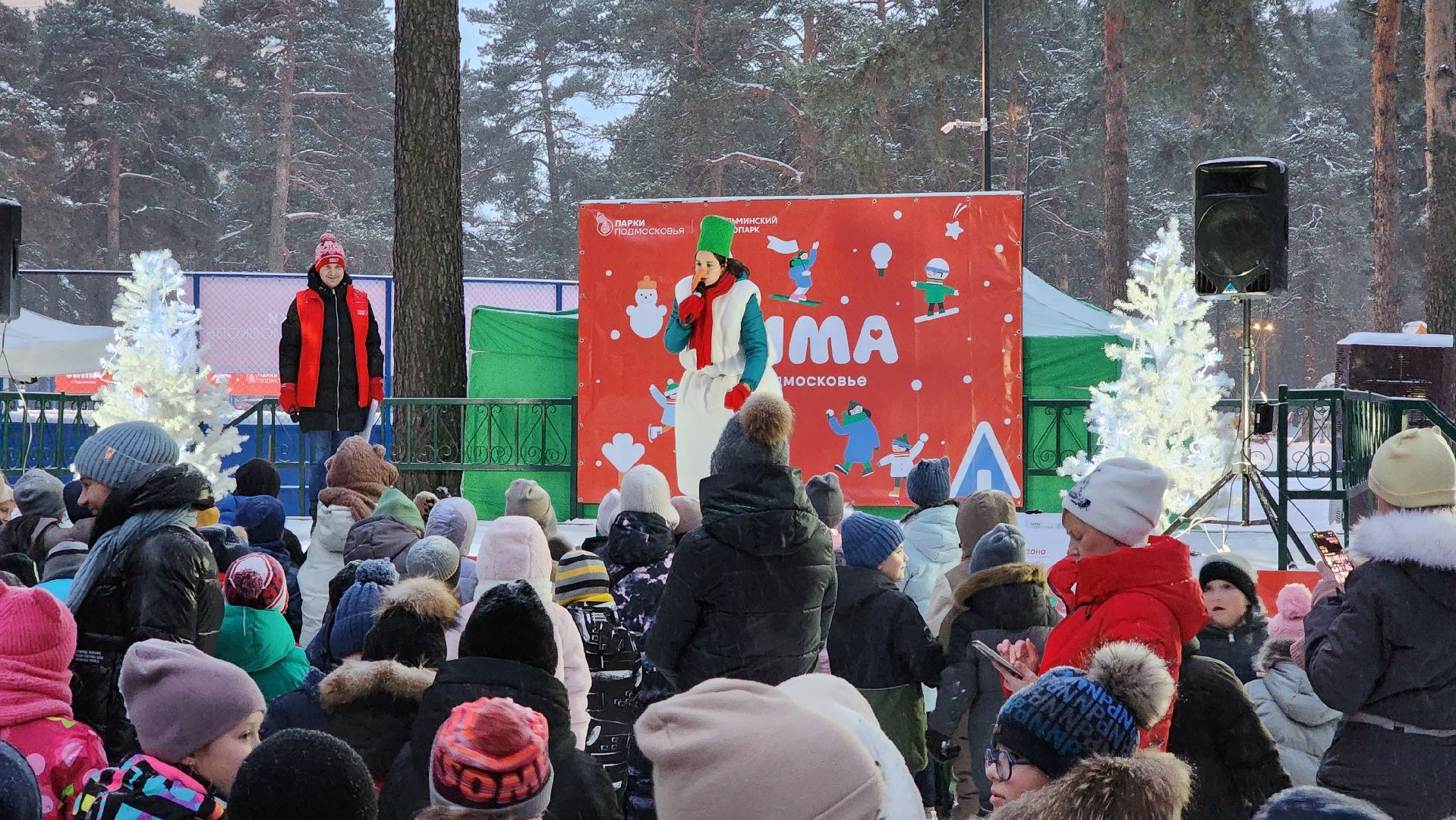 зима в подмосковье