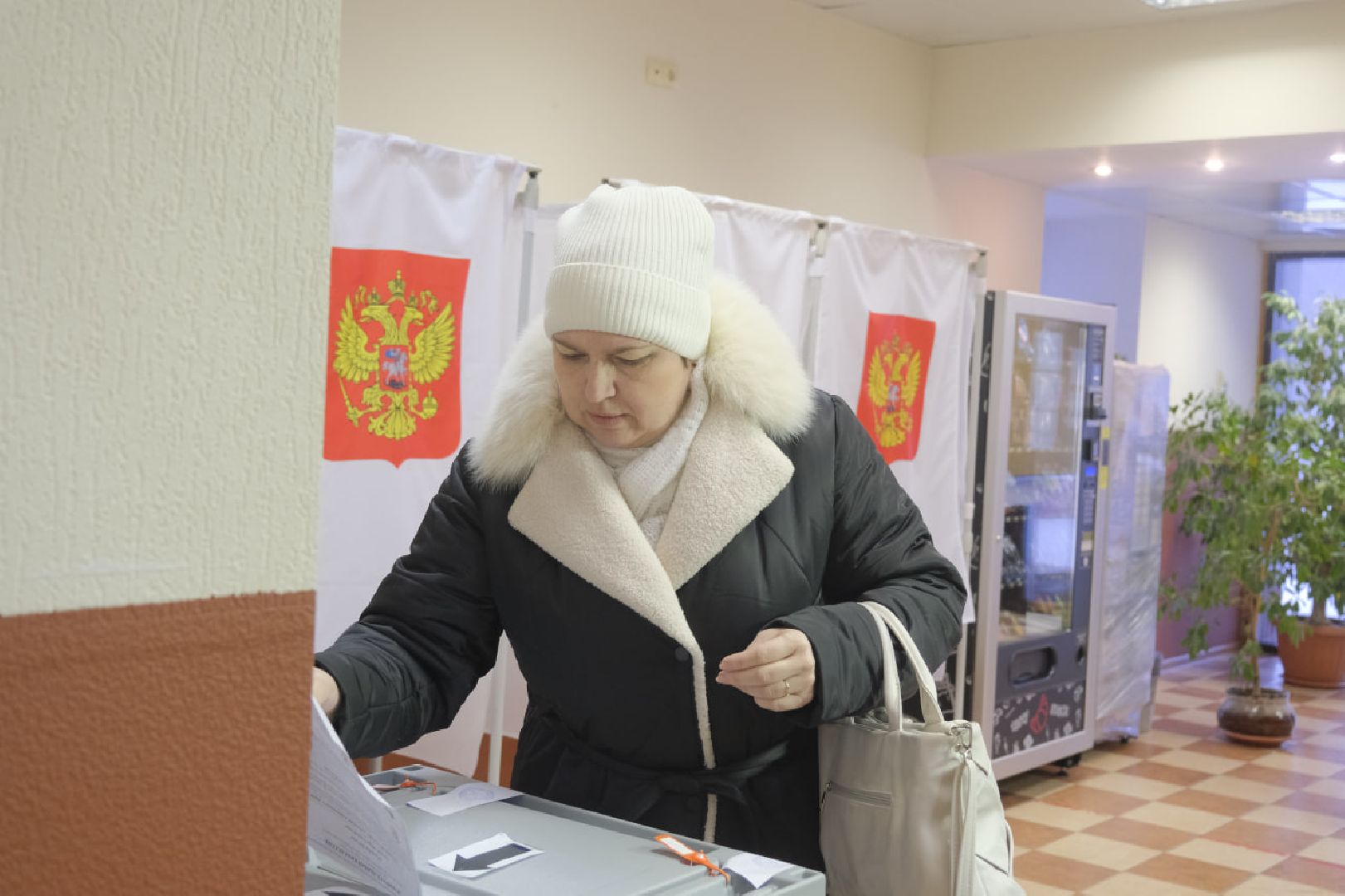 Выборы
