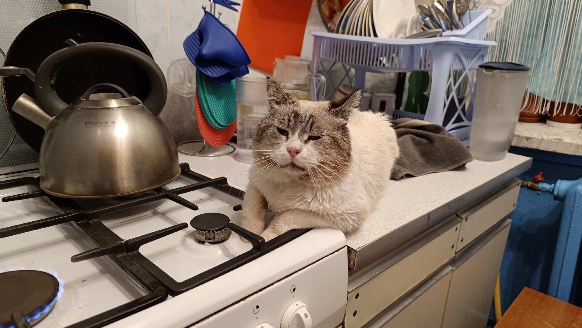 ЖКХ