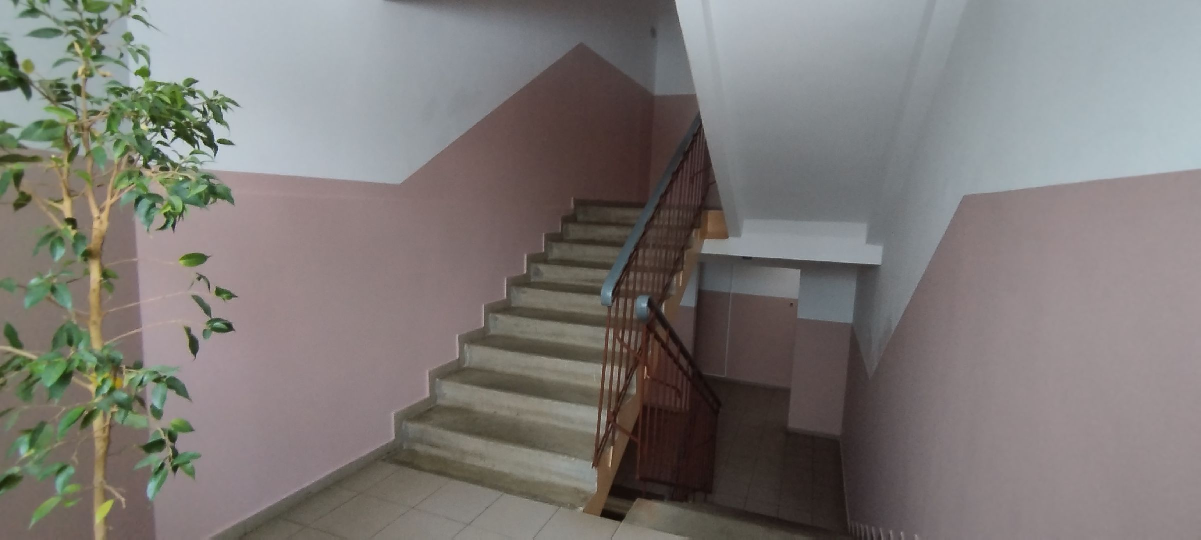 ЖКХ