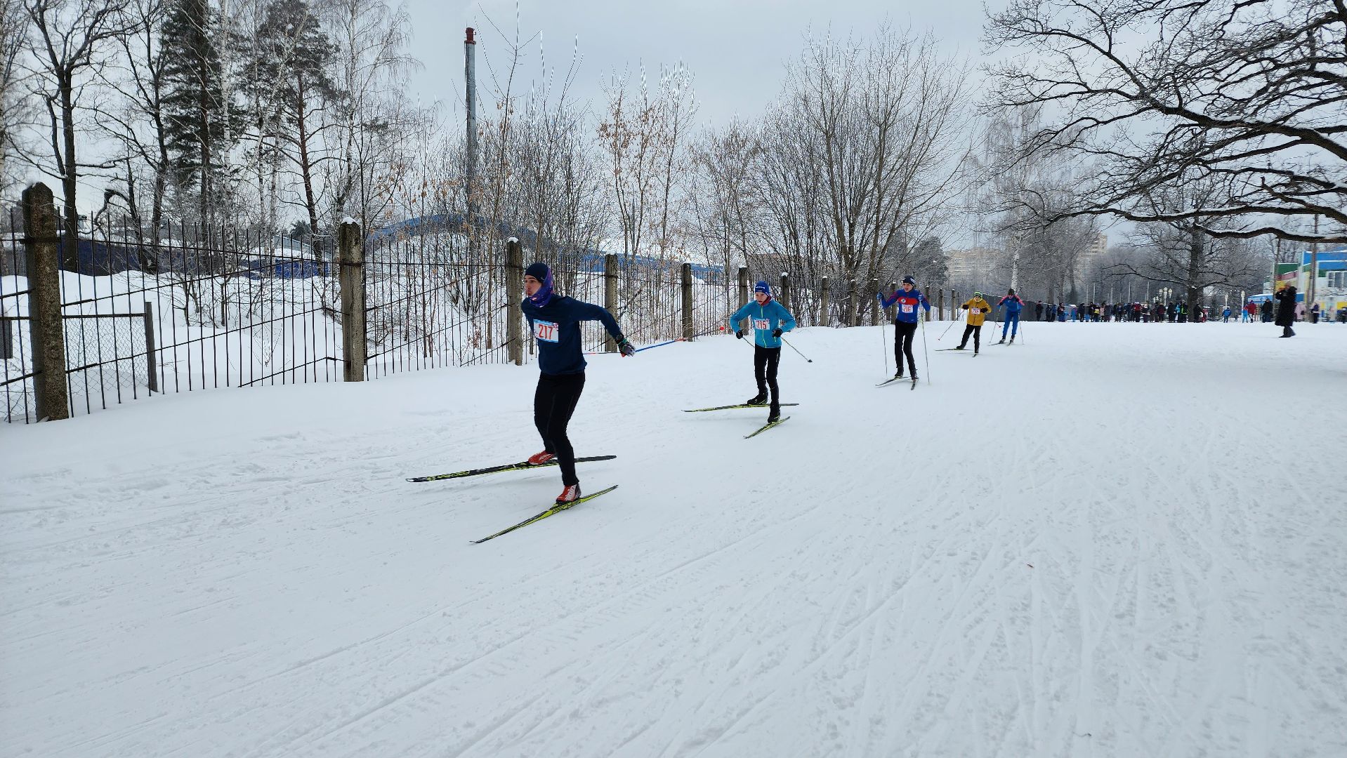спартакиада школьников