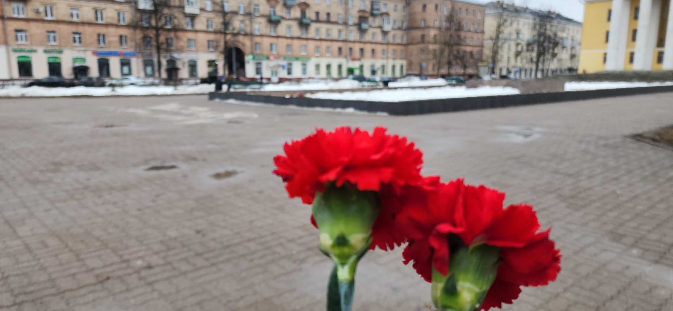 Города