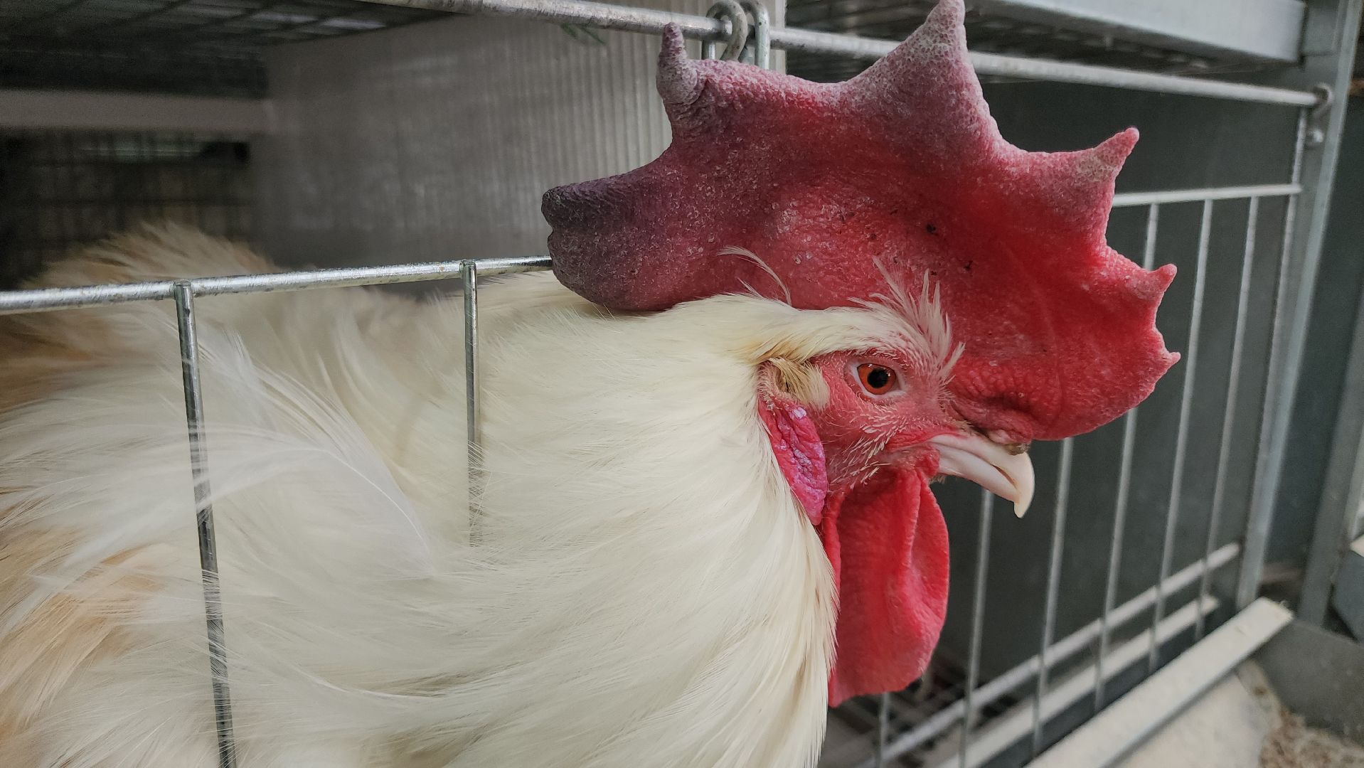 Наука