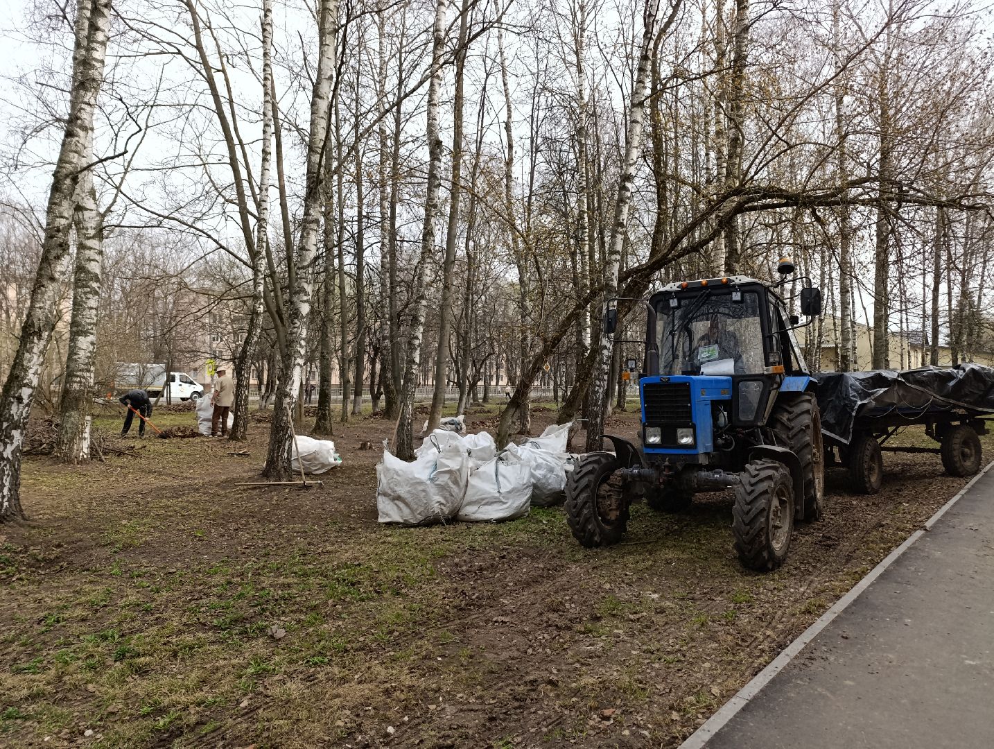 месяц чистоты