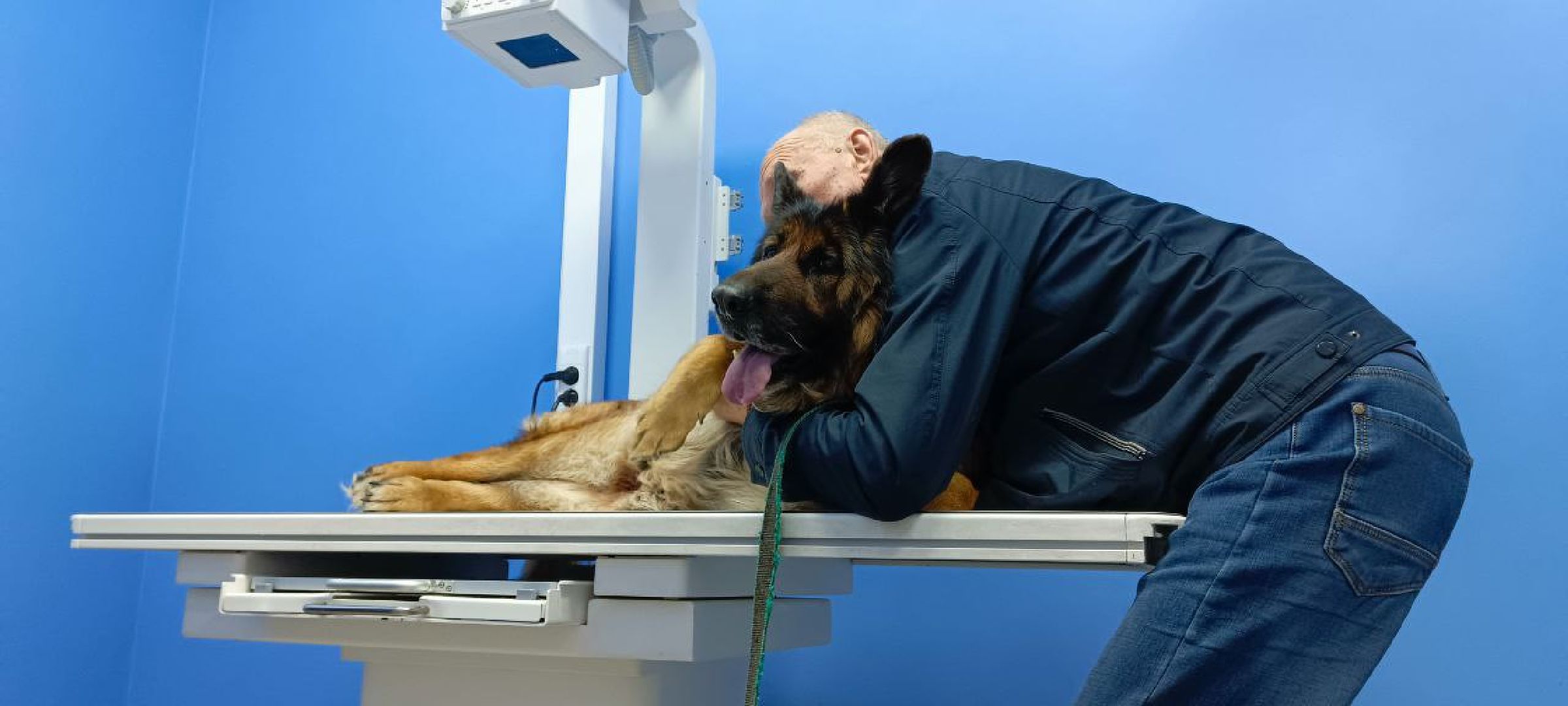 госветстанция