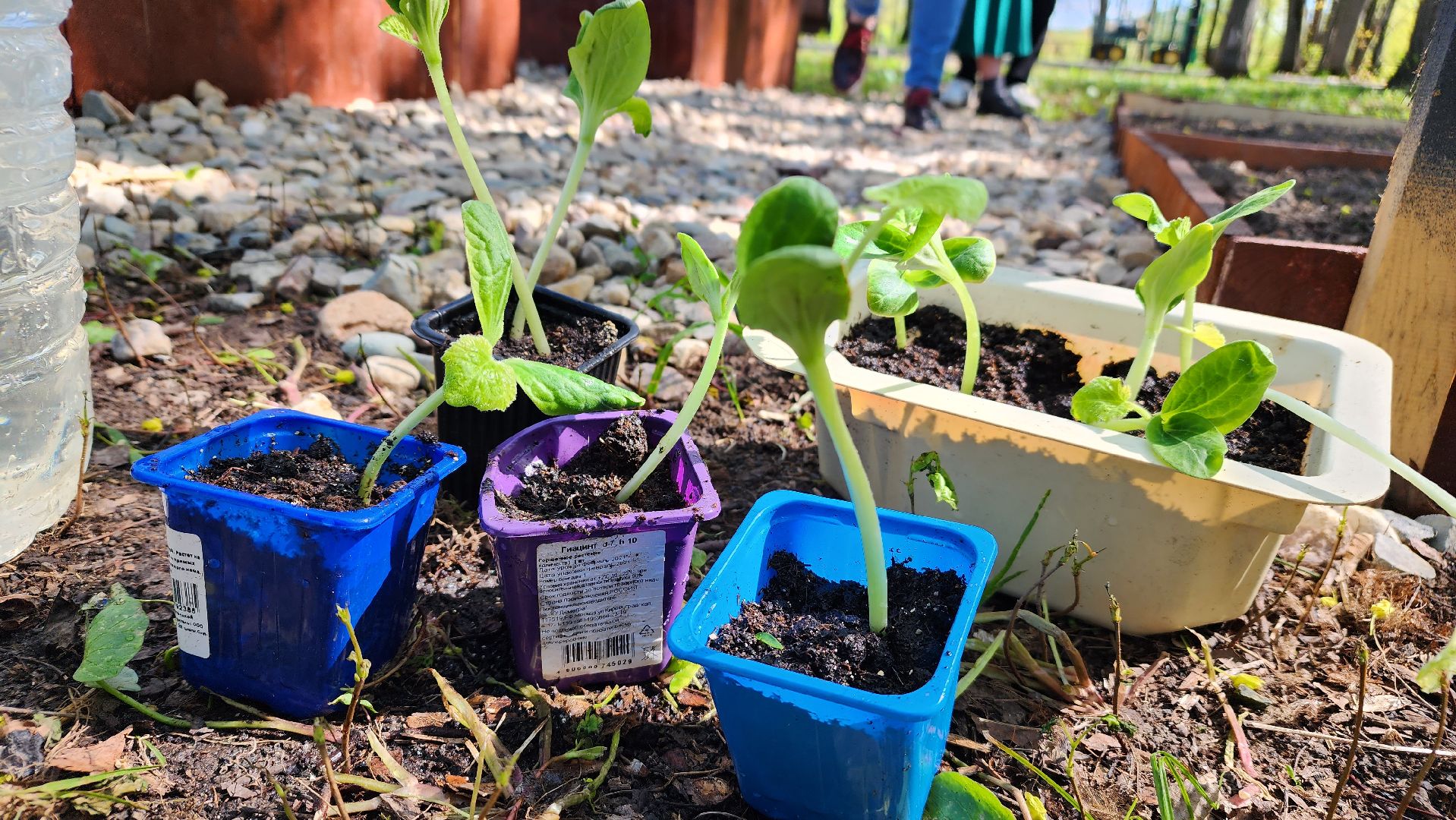 Лосино-Петровский
