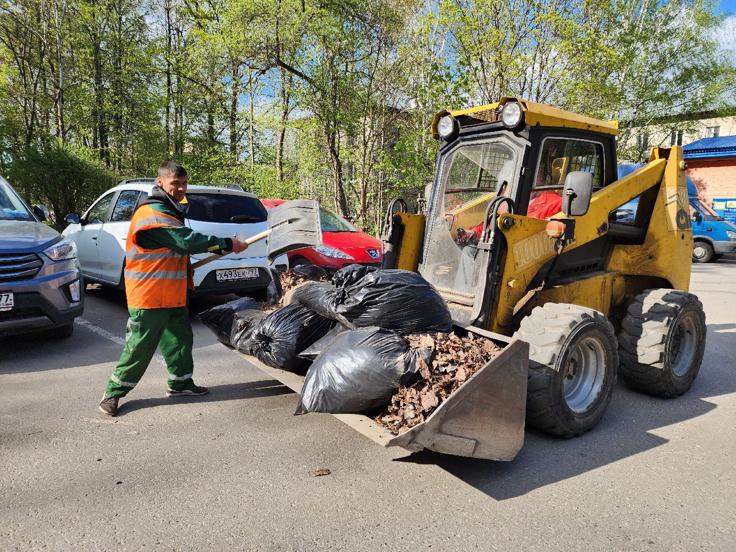 Черноголовка