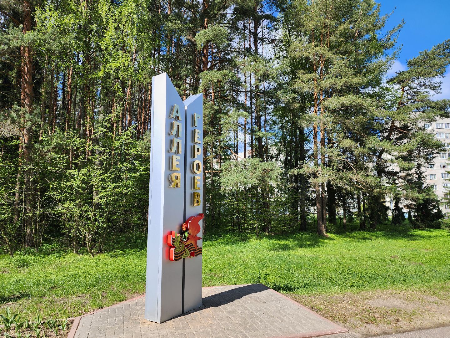 дуб