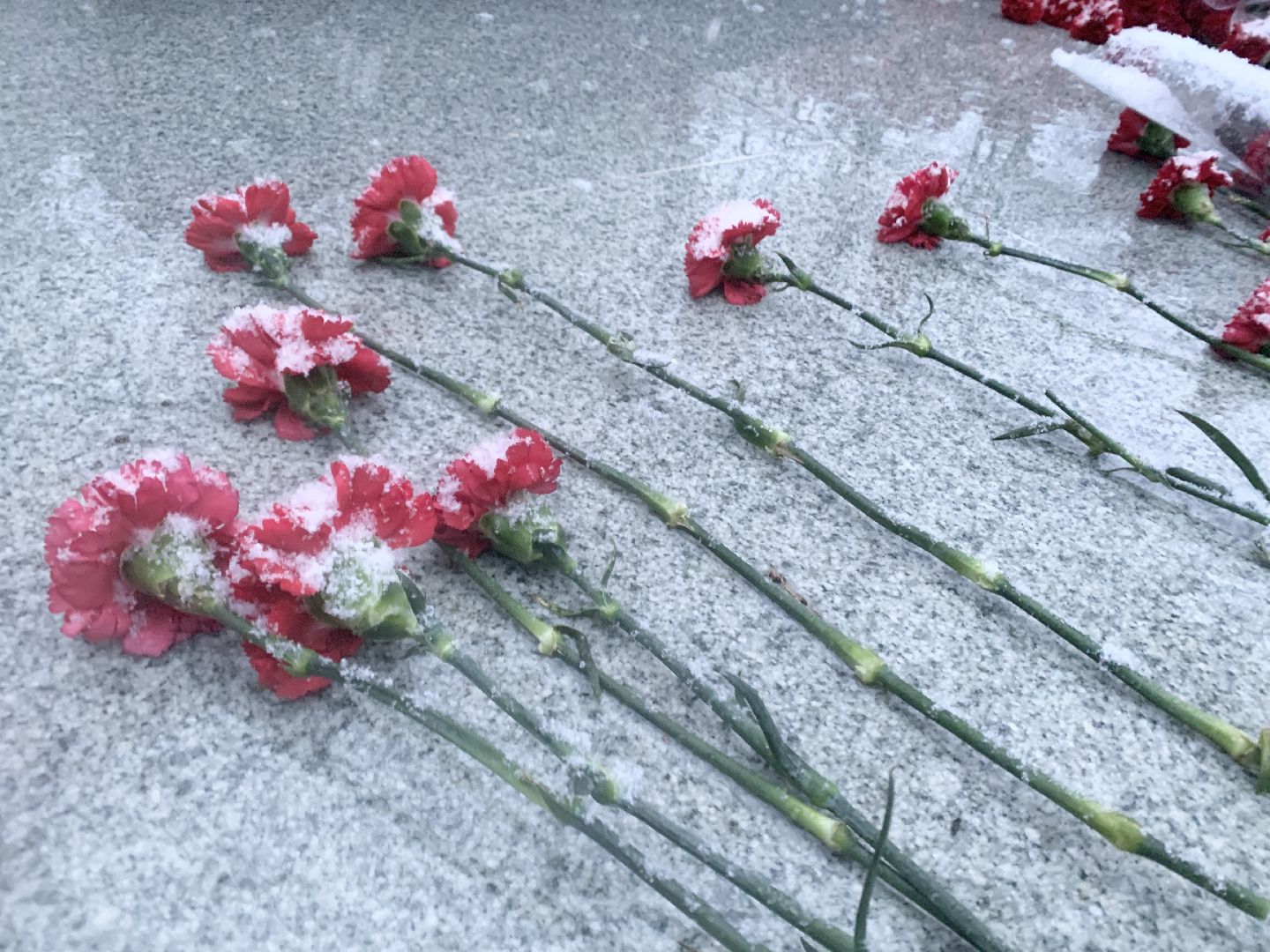 волонтёры