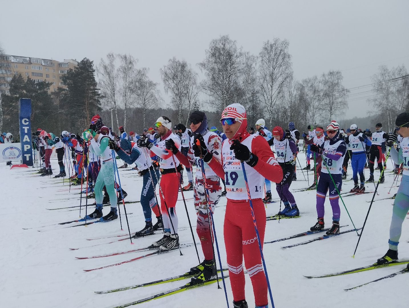 Красногорс