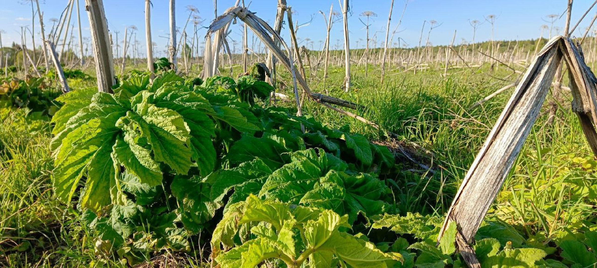 выездная Администрация