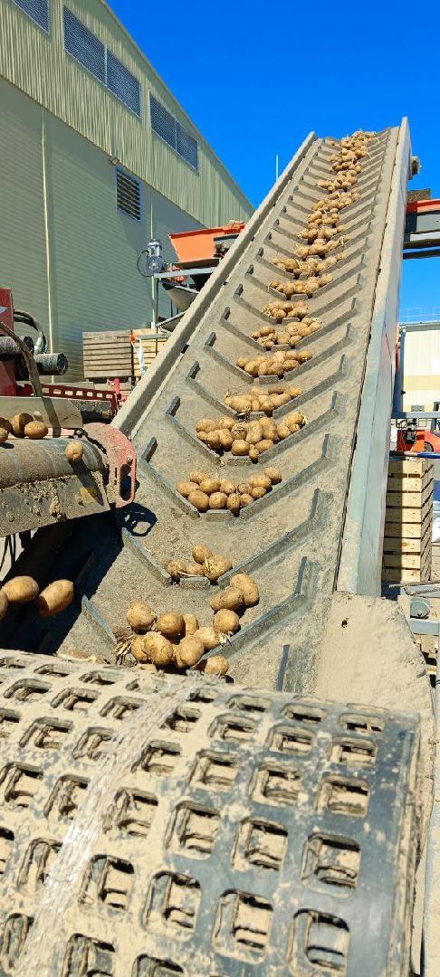 Талдомский