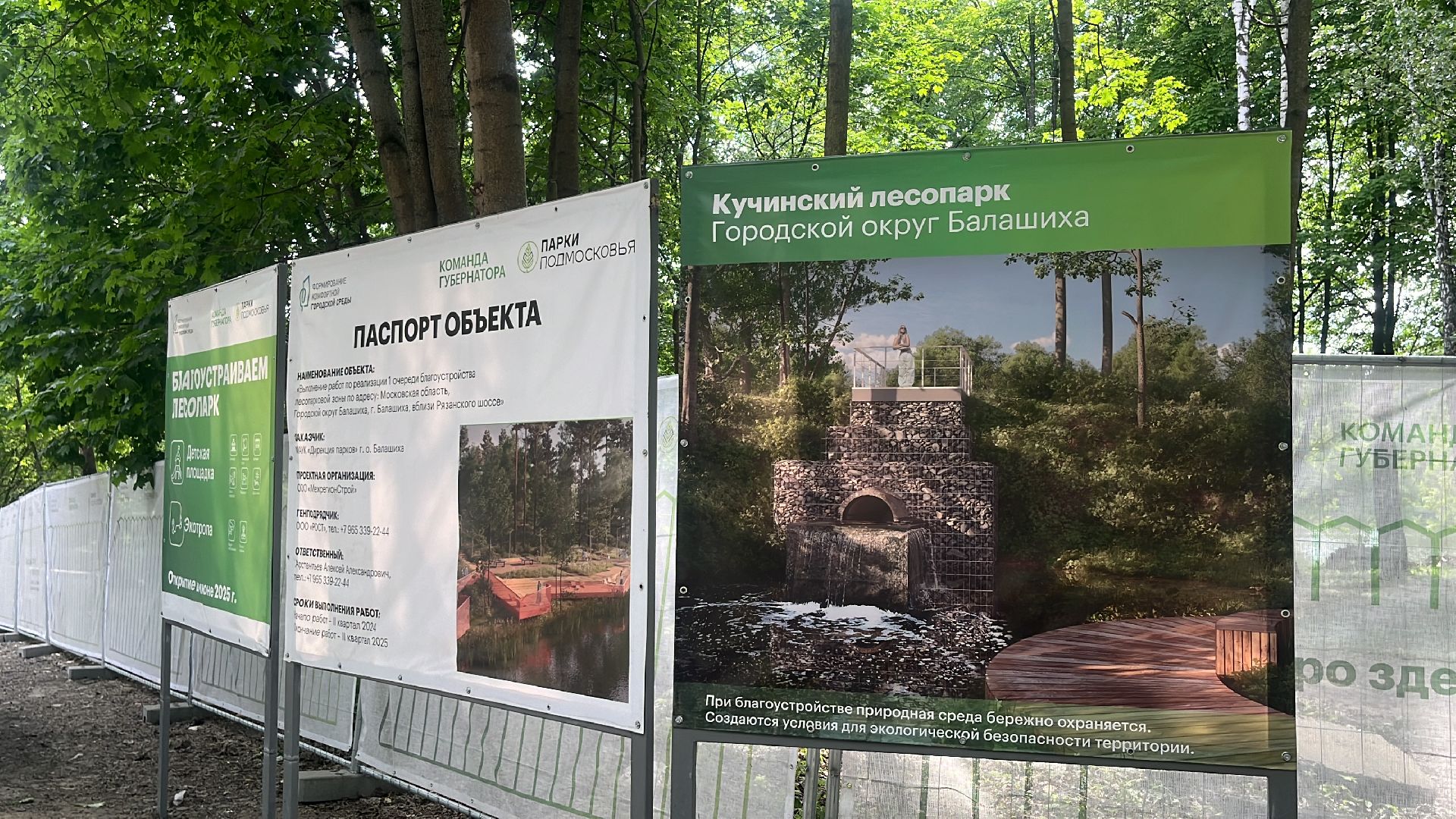кучинский лесопарк