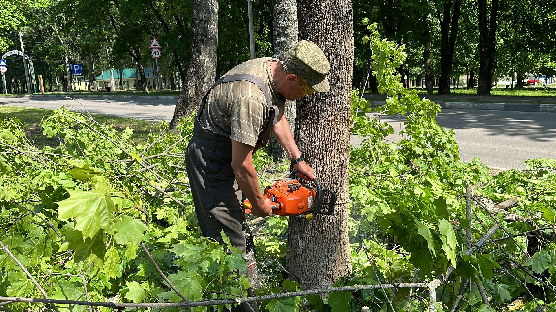 лагоустройство