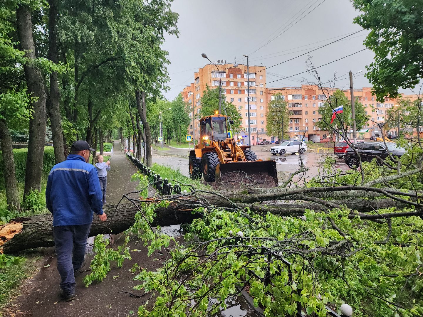 дорог