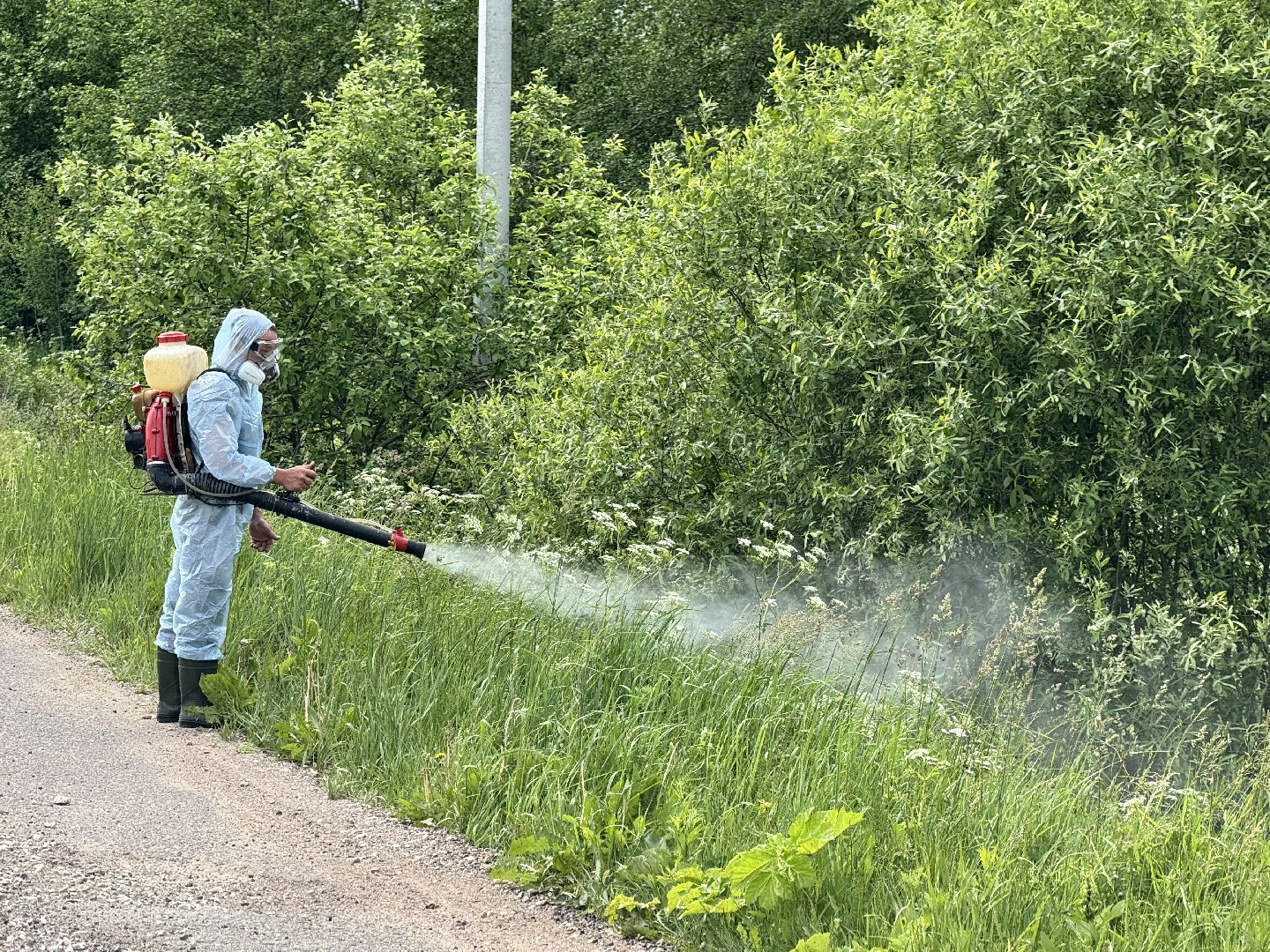 Борьба