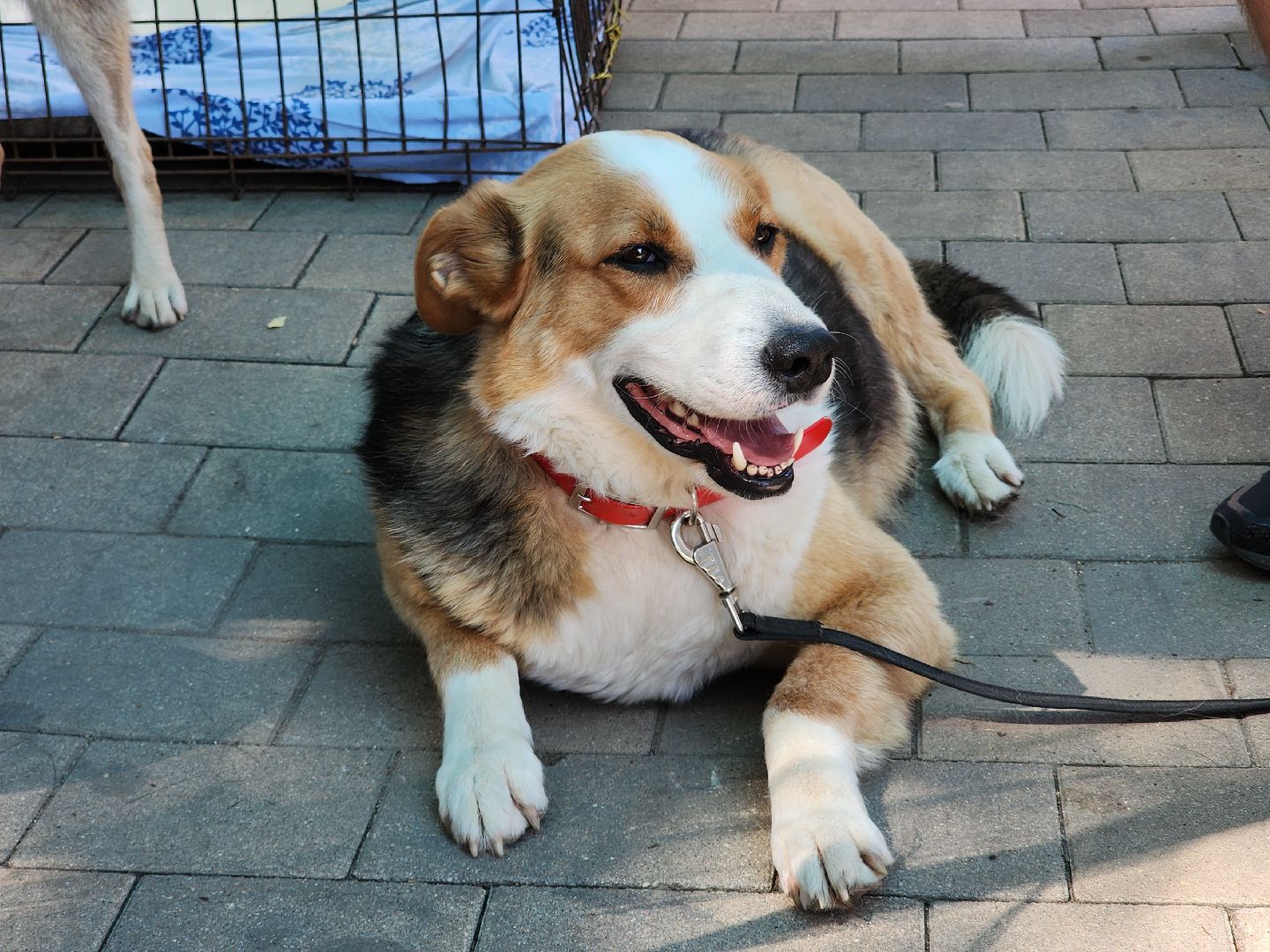 Звенигород