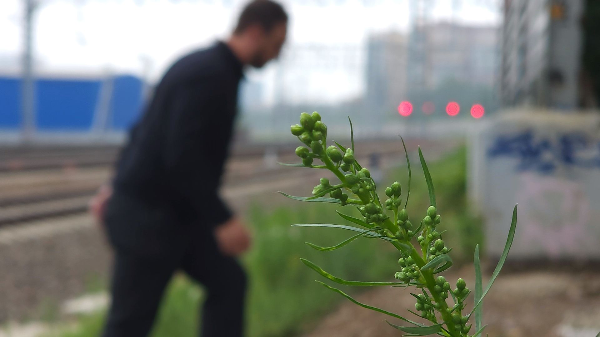 Строительство