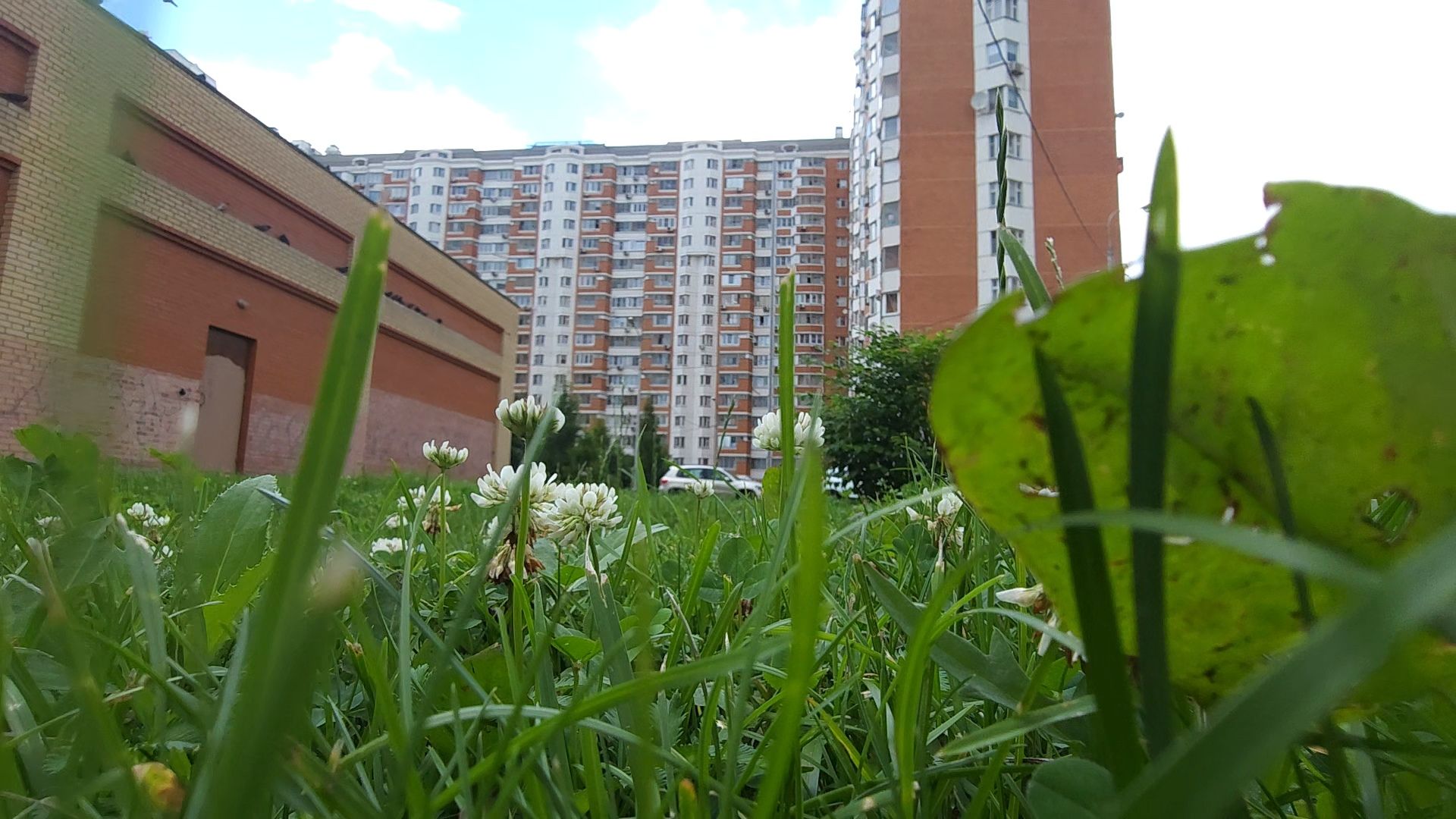 Одинцовский