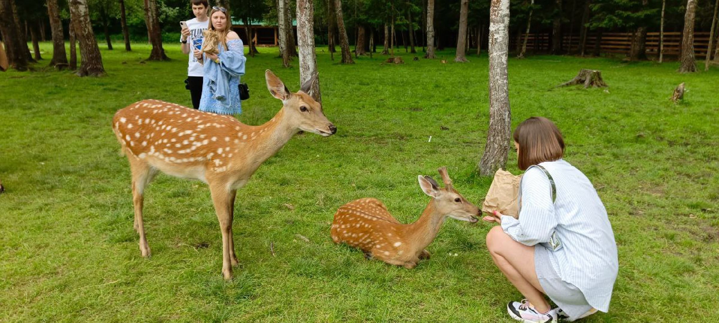парк