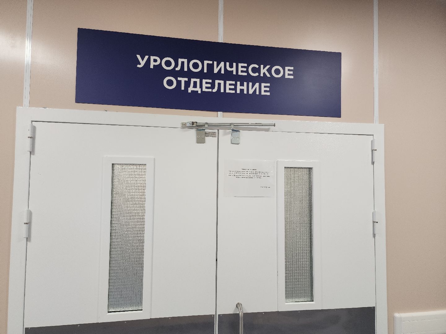 беременность