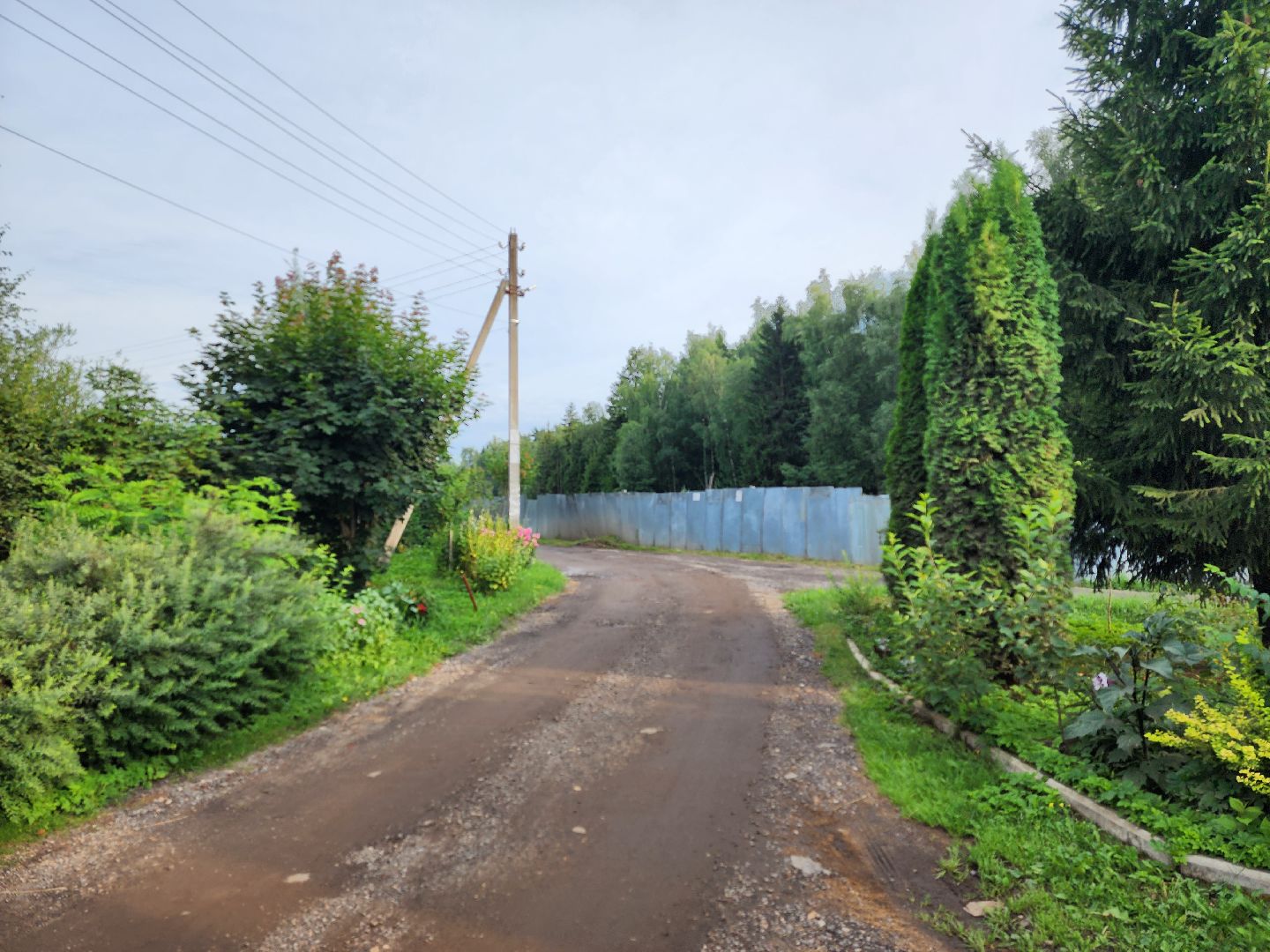 Власть