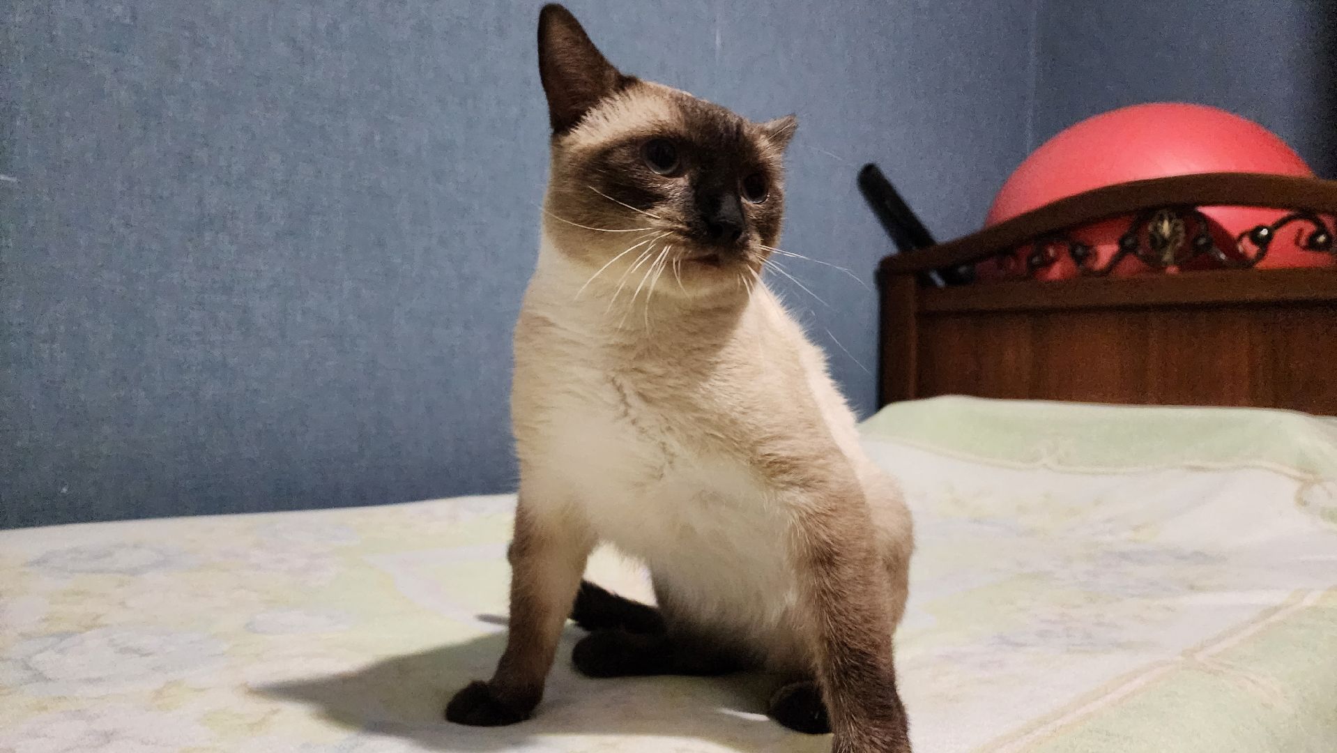 ок