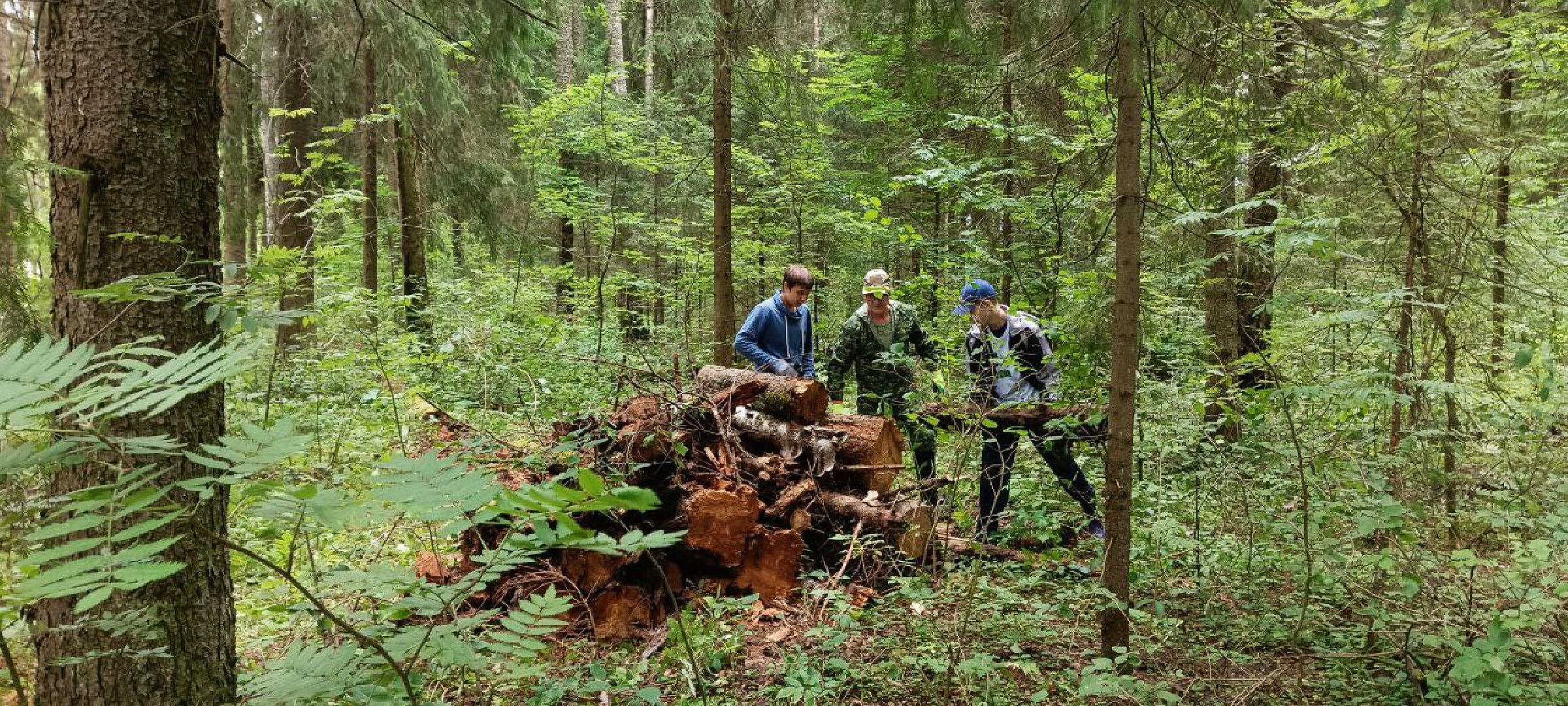 Талдомский