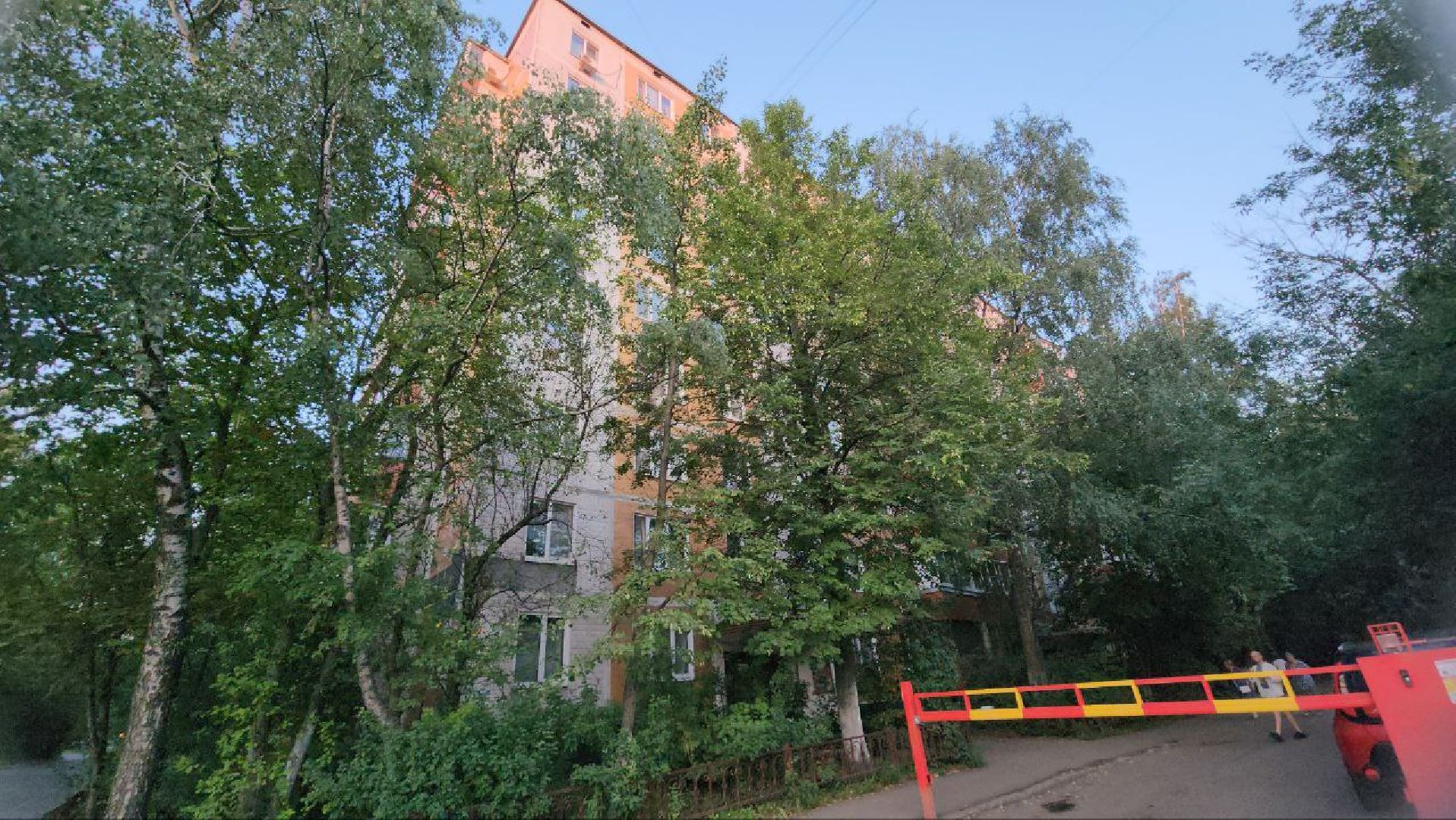 выездная