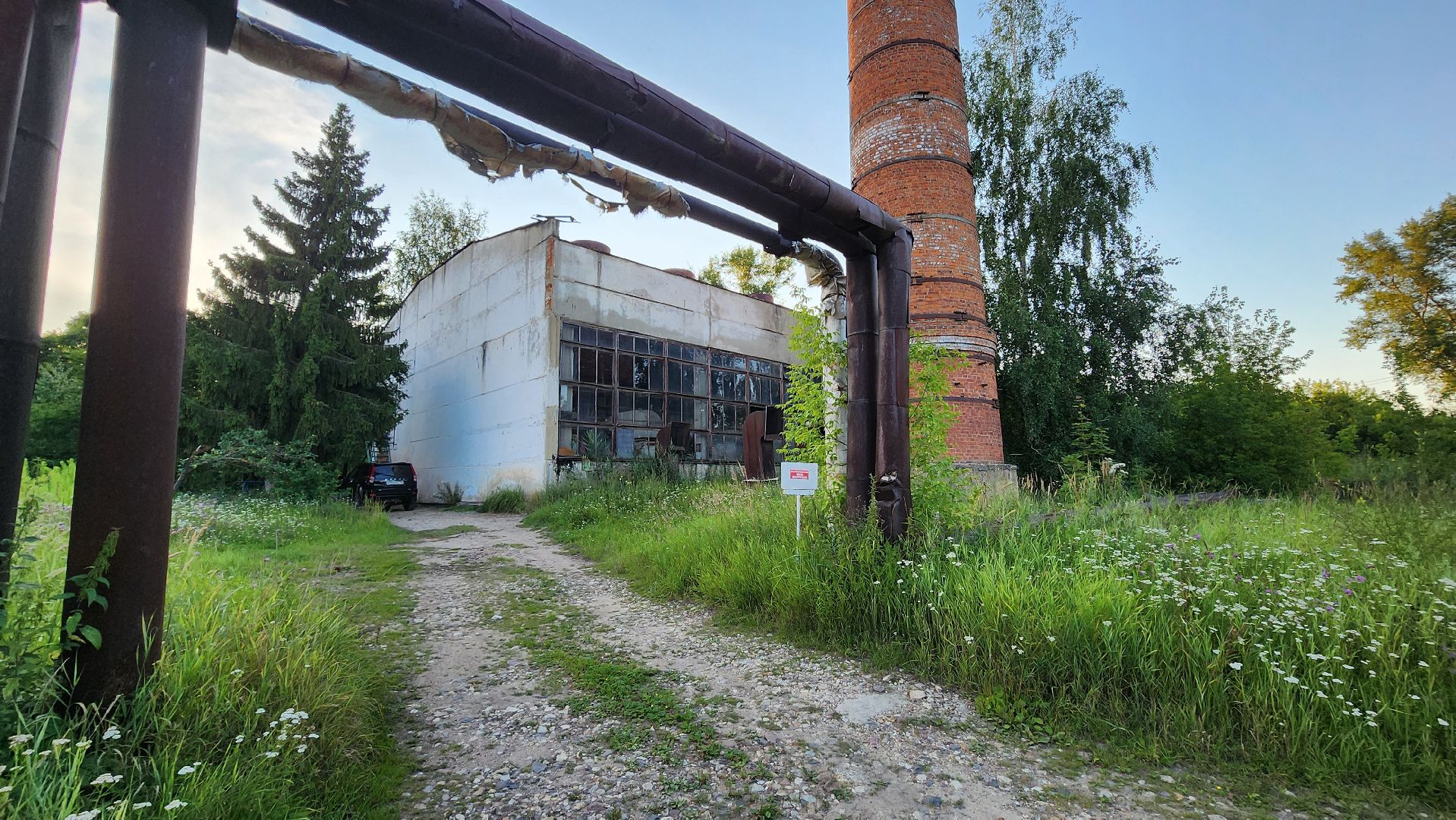 ель