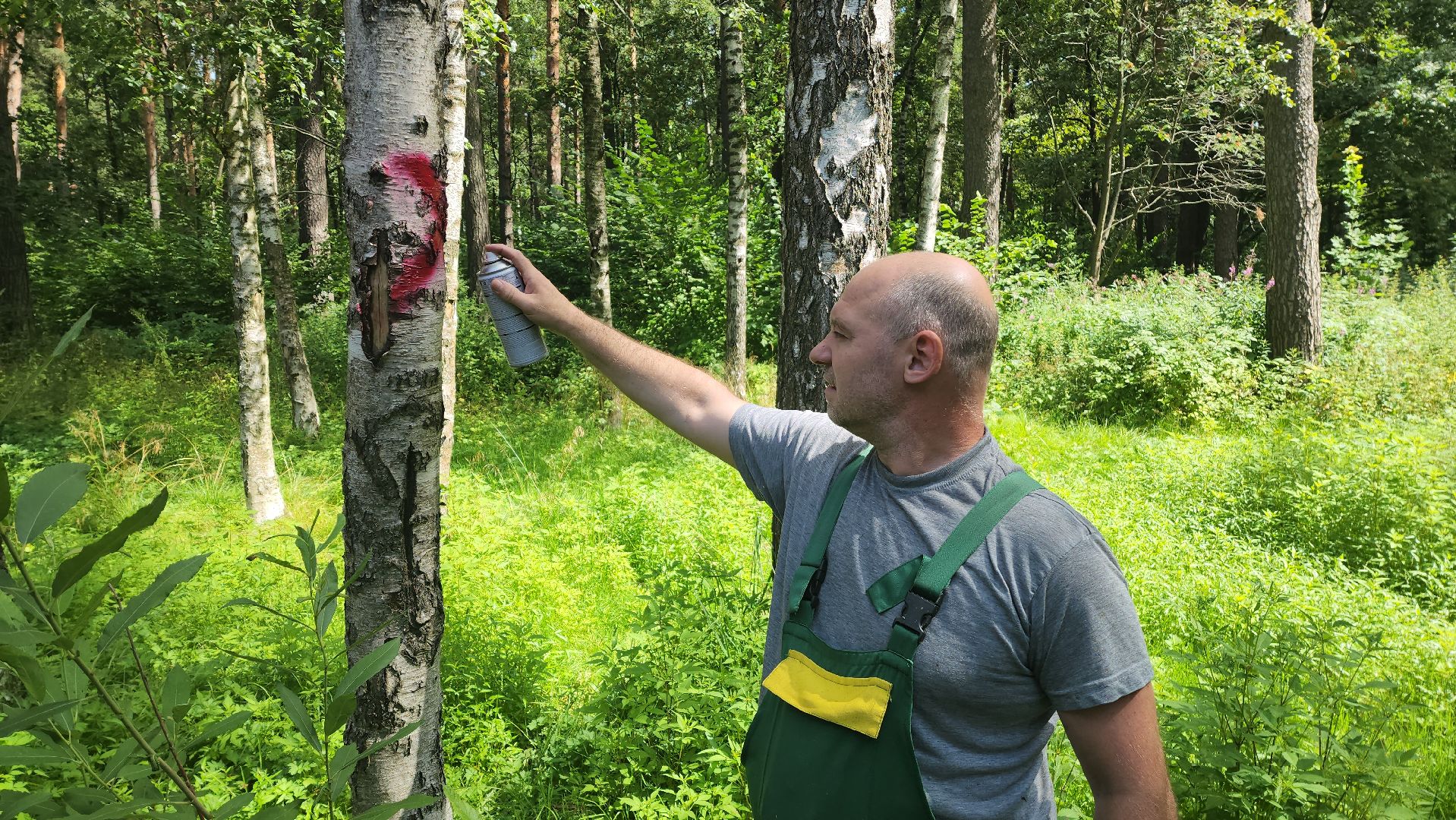 Красногорс