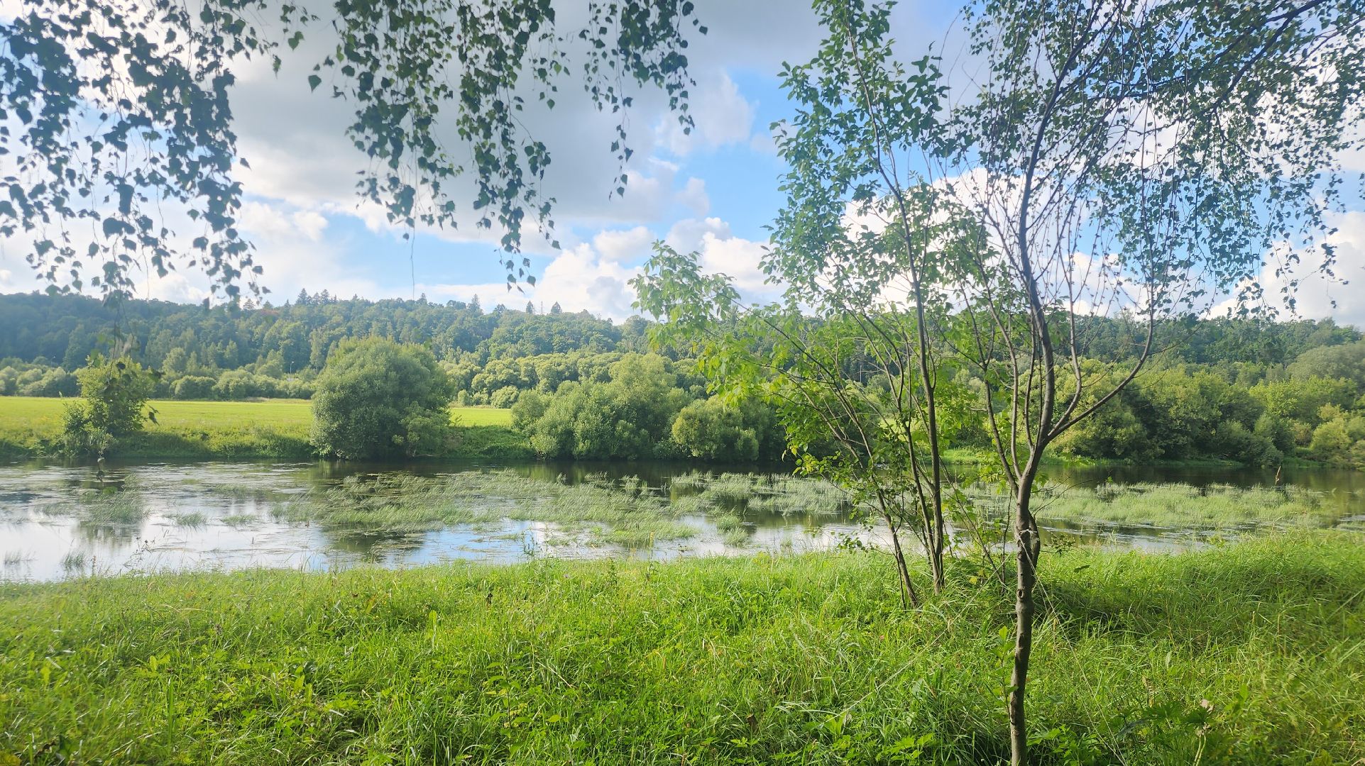 конкур