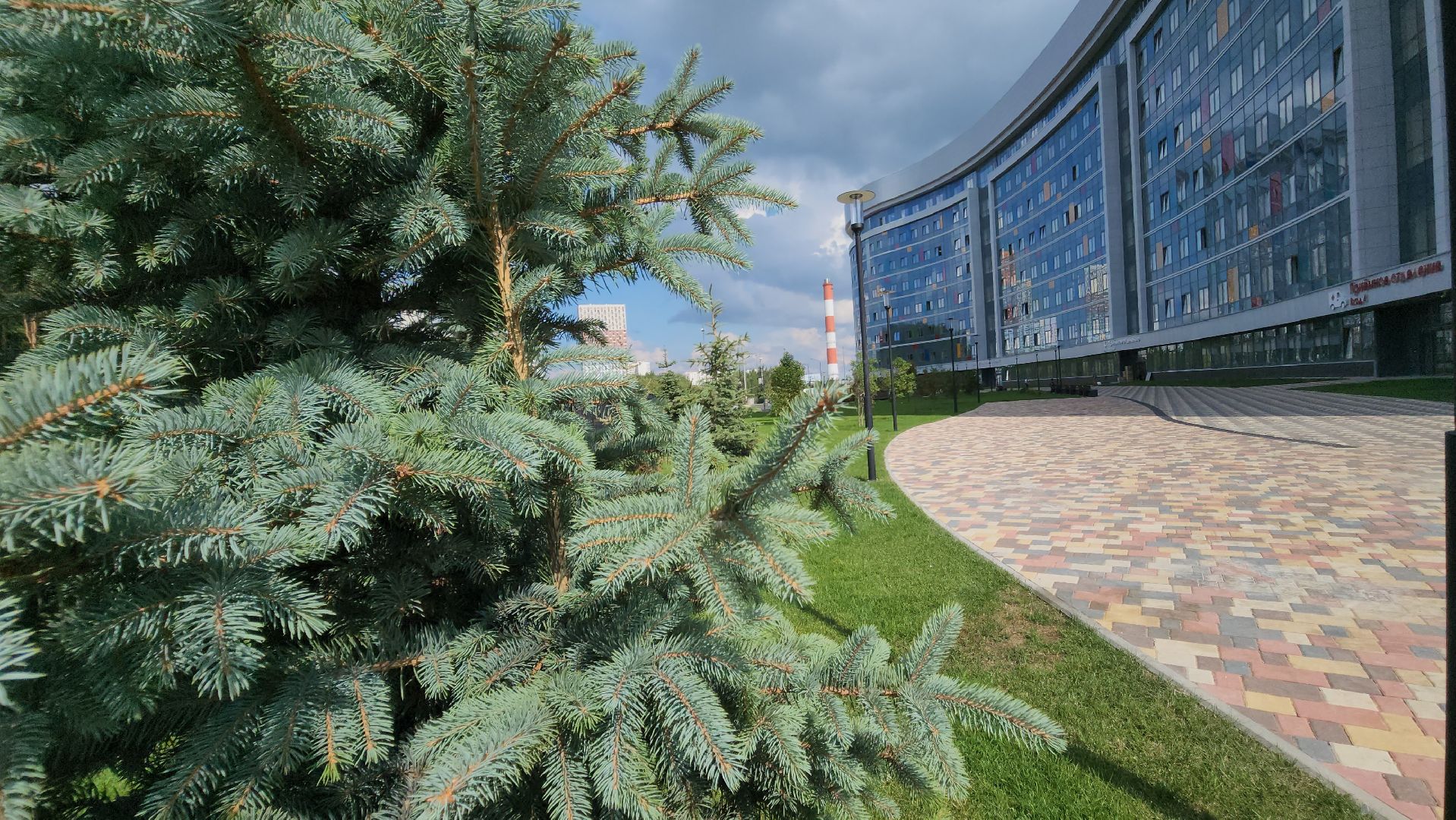 Красногорс