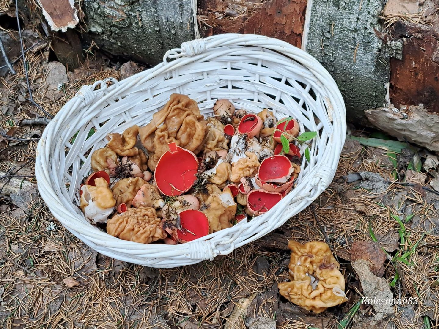 Звенигород