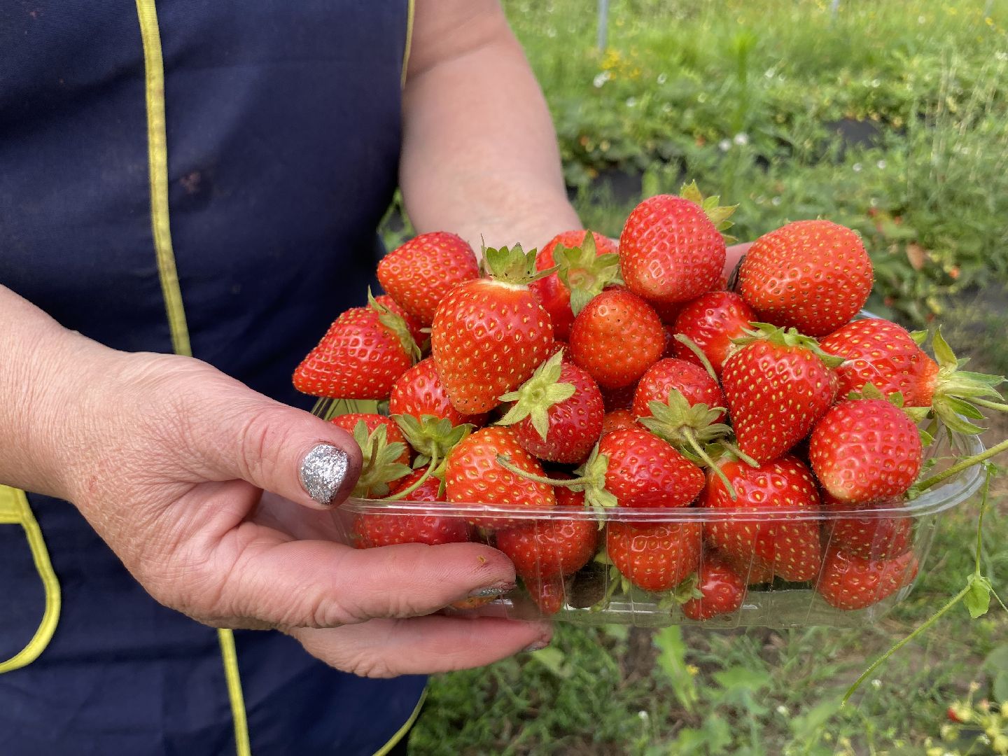 Сельское хозяйство